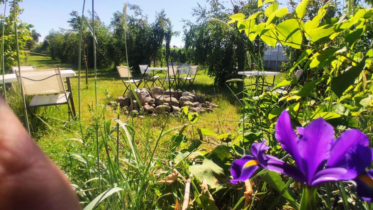 Ow Sargus Bed and Breakfast Władysławowo Exteriör bild